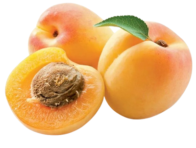 Apricot