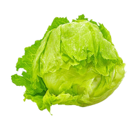 Iceberg Europe (1 pc)