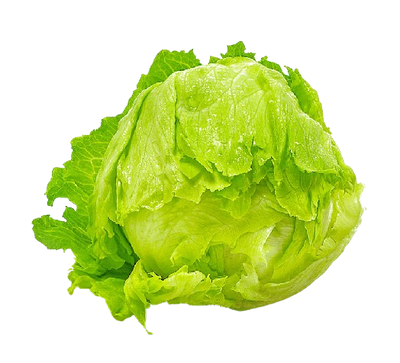 Iceberg Europe (1 pc)