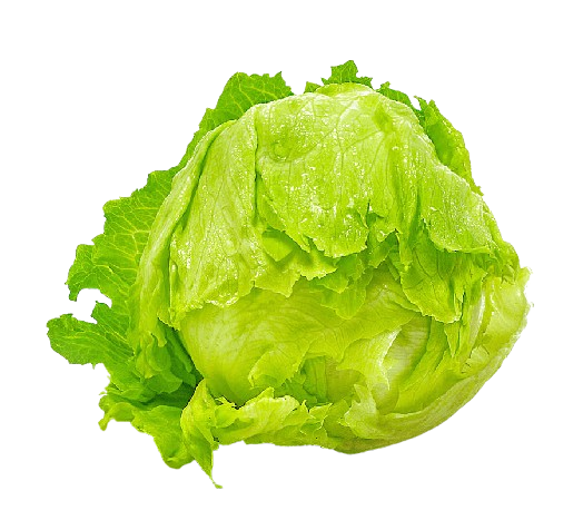Iceberg Europe (1 pc)