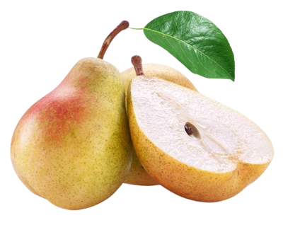 Forest Beauty Pears Uzbekistan