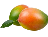Mango Palmer ~1pc
