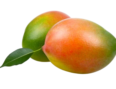 Mango Palmer ~1pc
