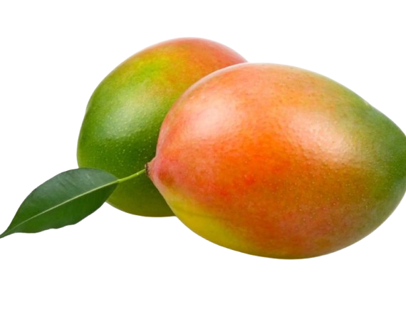 Mango Palmer ~1pc