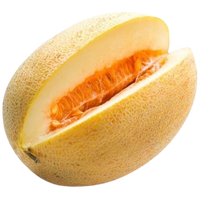Melon Torpedo Uzbekistan