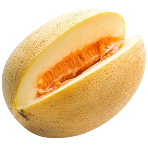 Melon Torpedo Uzbekistan