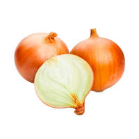 Australian Brown Onion