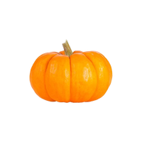 Mini Orange Pumpkin ~ 1pc