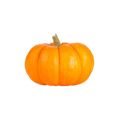 Mini Orange Pumpkin ~ 1pc