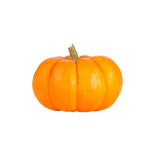 Mini Orange Pumpkin ~ 1pc