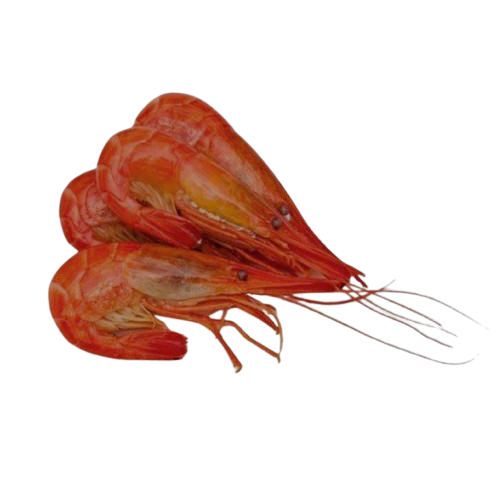 Wild Shrimp Chilim ( Frozen )