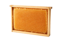 HoneyComb with Frame