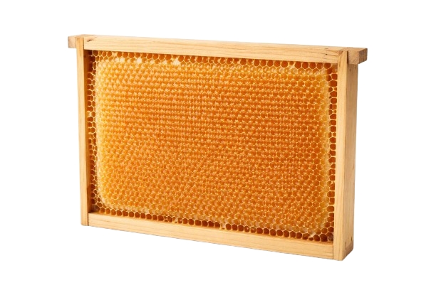 HoneyComb with Frame