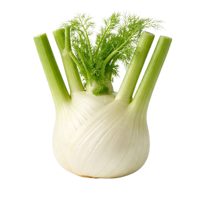 Fennel