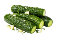 HOMEMADE LIGHTLY SALTED CUCUMBERS