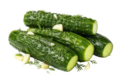 HOMEMADE LIGHTLY SALTED CUCUMBERS