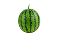 Baby Watermelon