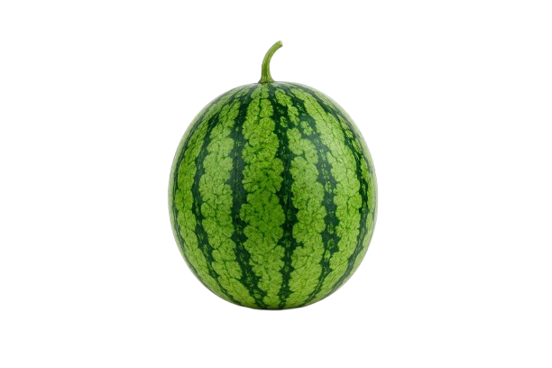 Baby Watermelon