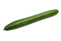 Long Cucumber ~1 pc