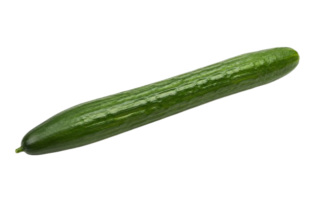 Long Cucumber ~1 pc