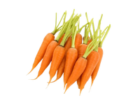 Mini Carrot with Tops