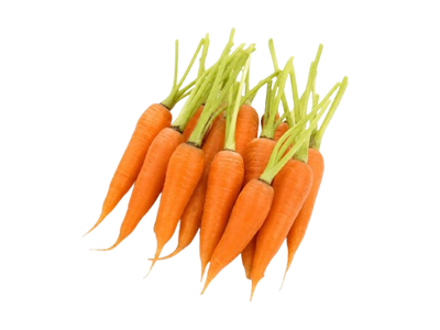 Mini Carrot with Tops
