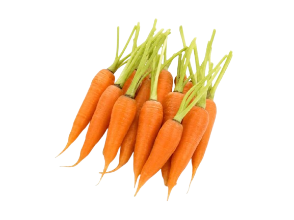 Mini Carrot with Tops