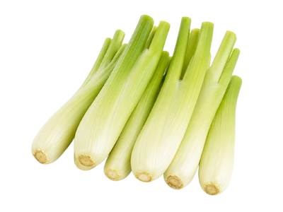 Mini Fennel