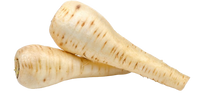Parsnip