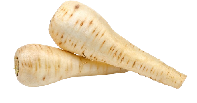 Parsnip