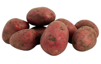 Red Potato Uzbekistan