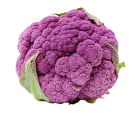 Purple Cauliflower 1 pc