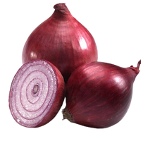 Organic Red Onion