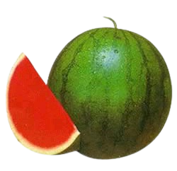 Whole Watermelon seedless 1 pc