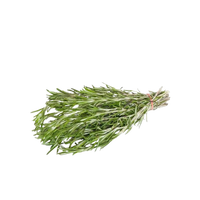 Rosemary