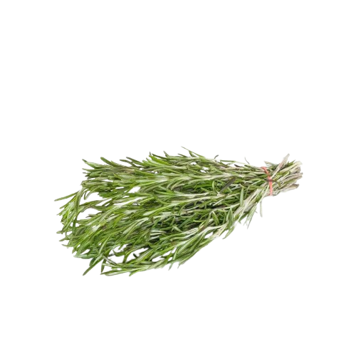 Rosemary