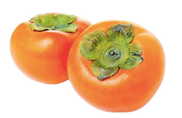 Persimmon Uzbekistan