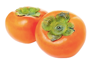 Persimmon Uzbekistan