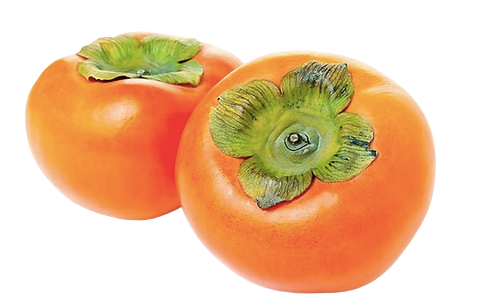 Persimmon Uzbekistan