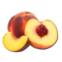 Peach Champion Uzbekistan