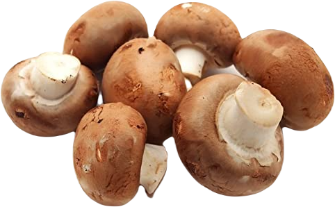 Brown Mushrooms