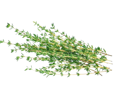 Thyme