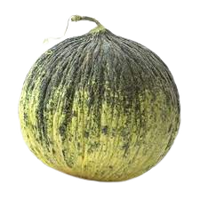 Kampir Melon Uzbekistan 1 pc