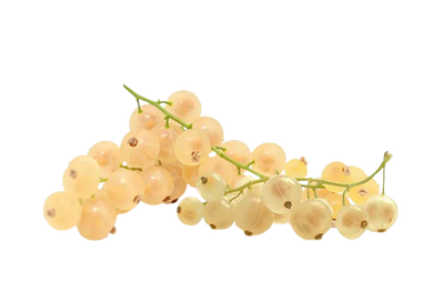White Currant