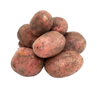 Red Potato