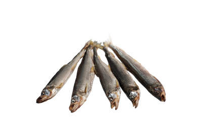 Korushka Sakhalin 7-8 pcs