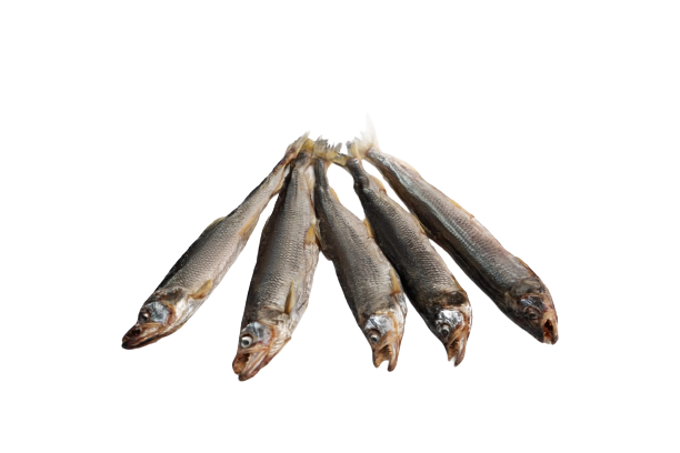 Korushka Sakhalin 7-8 pcs