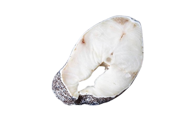 Wild Chilean Sea bass (Patagonian Toothfish)