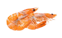 Wild Ama Ebi Deep Water Sweet Prawn (Raw) ~46-50pcs