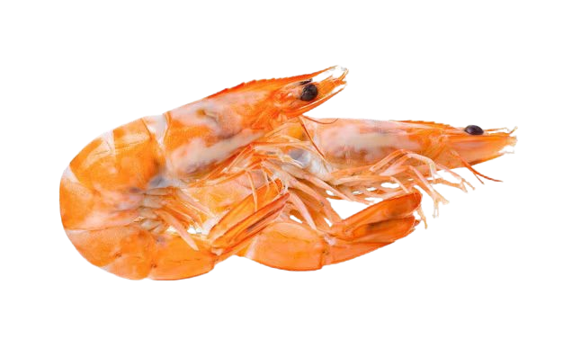 Wild Ama Ebi Deep Water Sweet Prawn (Raw) ~46-50pcs